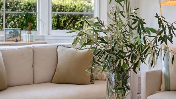 A living room with a sofa, a glass vase with green plants, and a wooden table with a decorative plate. - Charming Urban Bungalow with Garden and Deck (Santa Barbara)