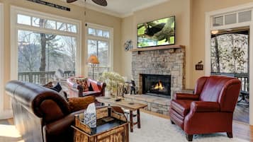 TV, fireplace, DVD player, ping pong