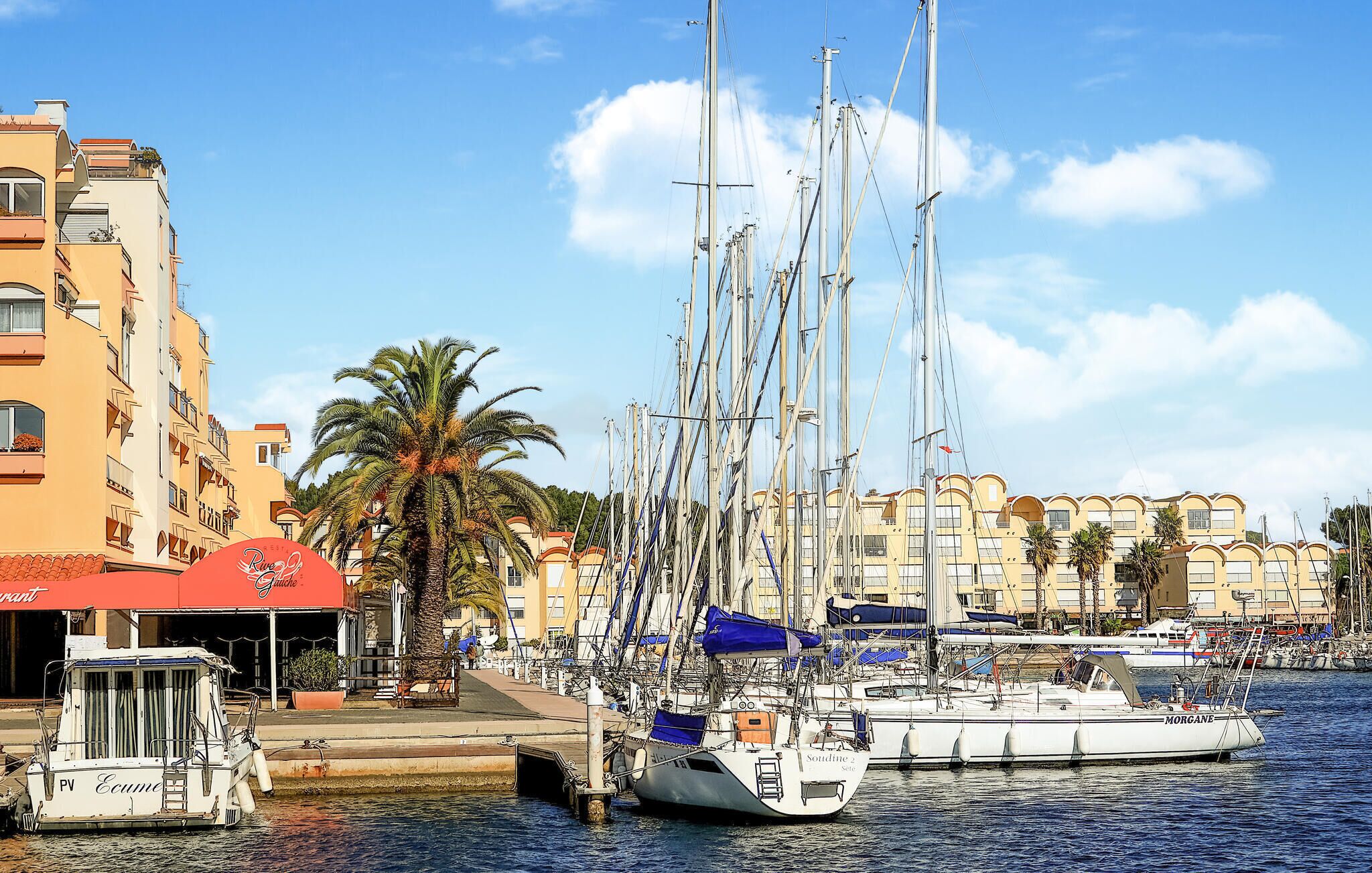 A marina with several sailboats docked, a palm tree, and buildings with balconies.