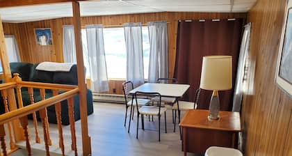 Cozy 3 bedroom cabin 30 minutes from Steamboat Springs, Stagecoach Reservoir.