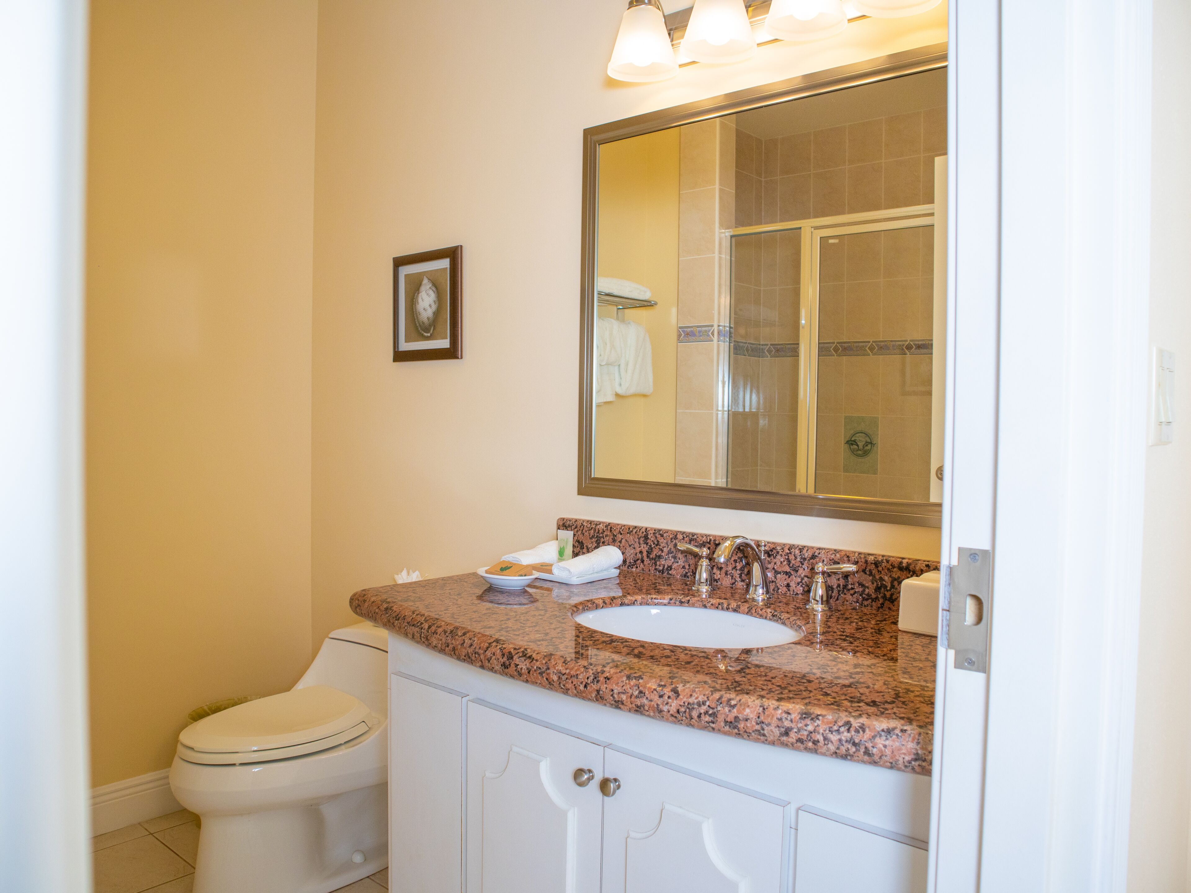 Un baño con un inodoro blanco, un lavabo con encimera de granito, un espejo grande y un cuadro en la pared.