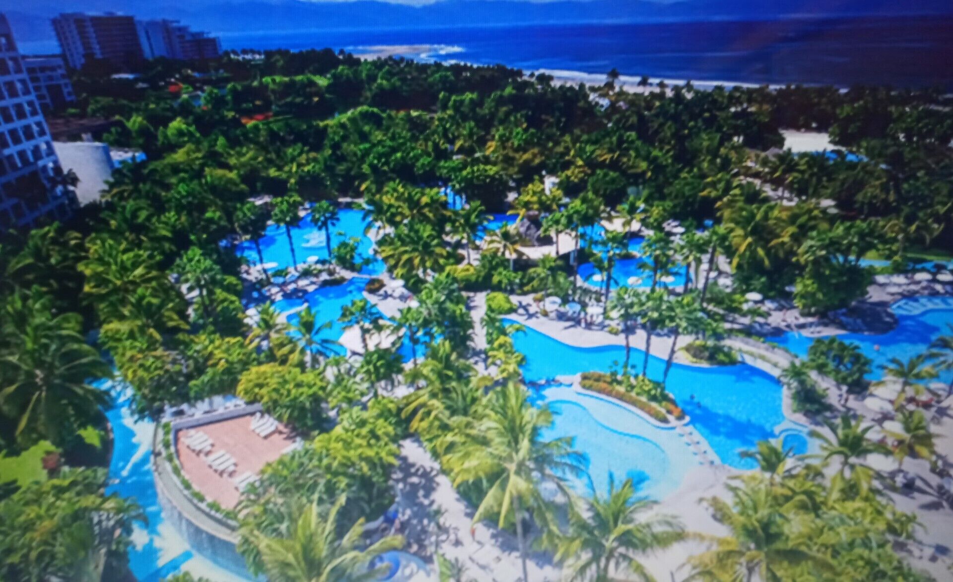 屋外プール、温水プール