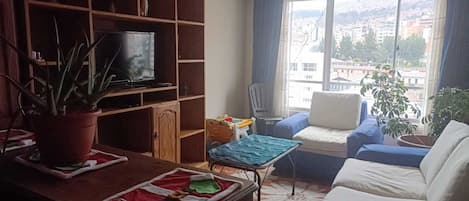Fernseher