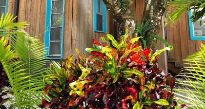 Slice of Paradise: Tropical Studio in Downtown Historical River District
