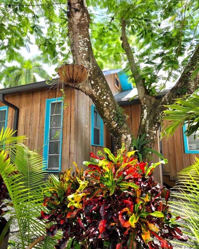 Slice of Paradise: Tropical Studio in Downtown Historical River District