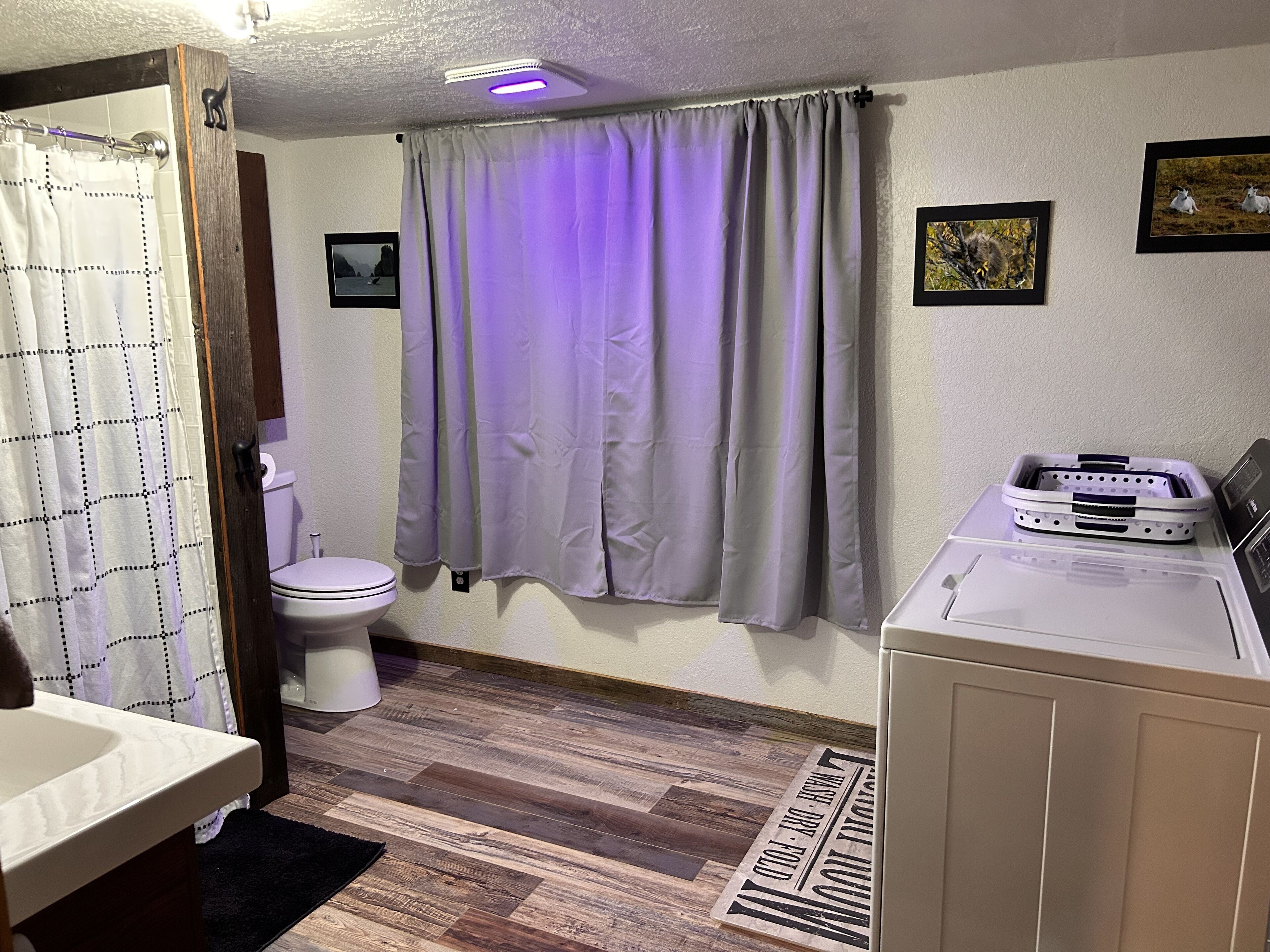 A bathroom with a toilet, a sink, a shower curtain, and a laundry machine.