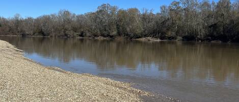 Une rive de rivière parsemée de galets, avec une rivière paisible et des arbres en arrière-plan.