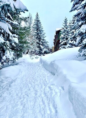 Terrain de lâhĂ©bergement