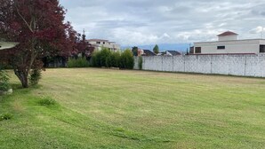 Tuin