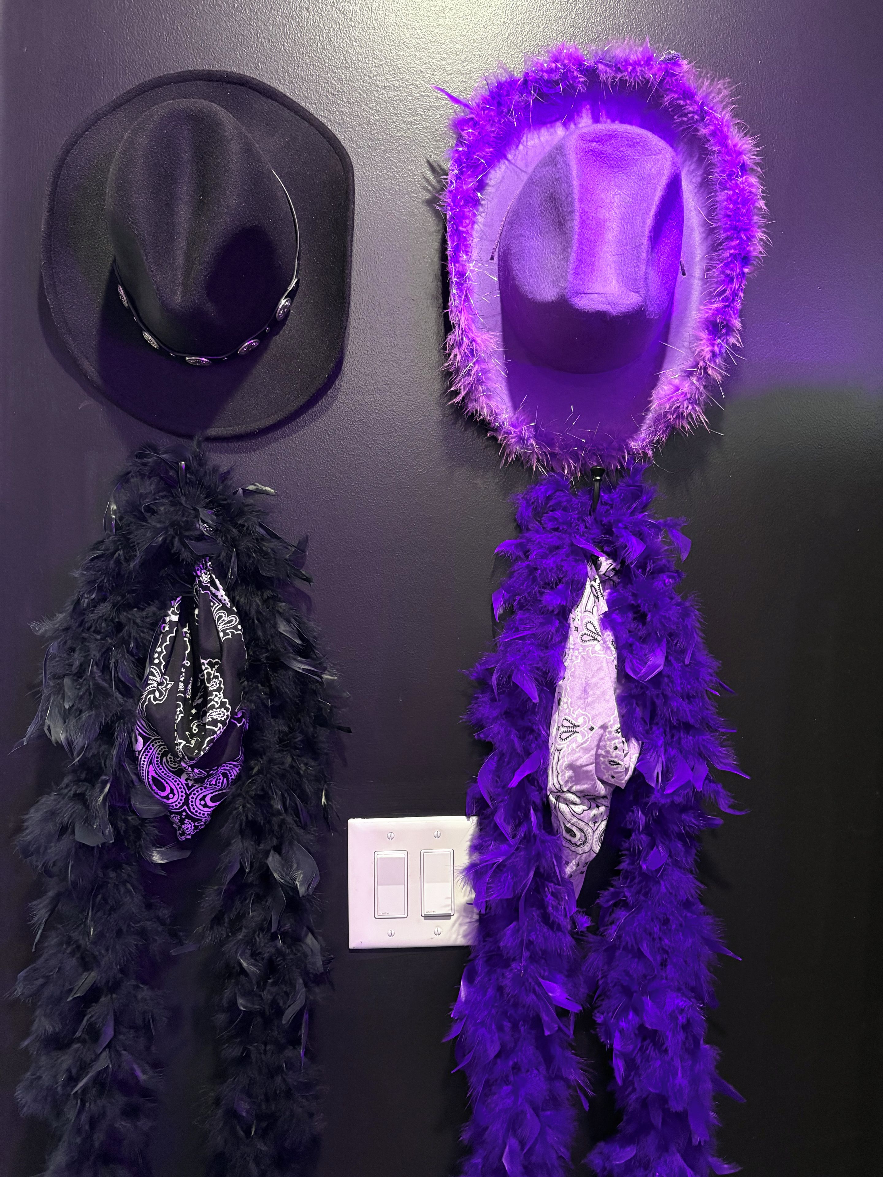 Dos sombreros y dos boas de plumas en una pared.
