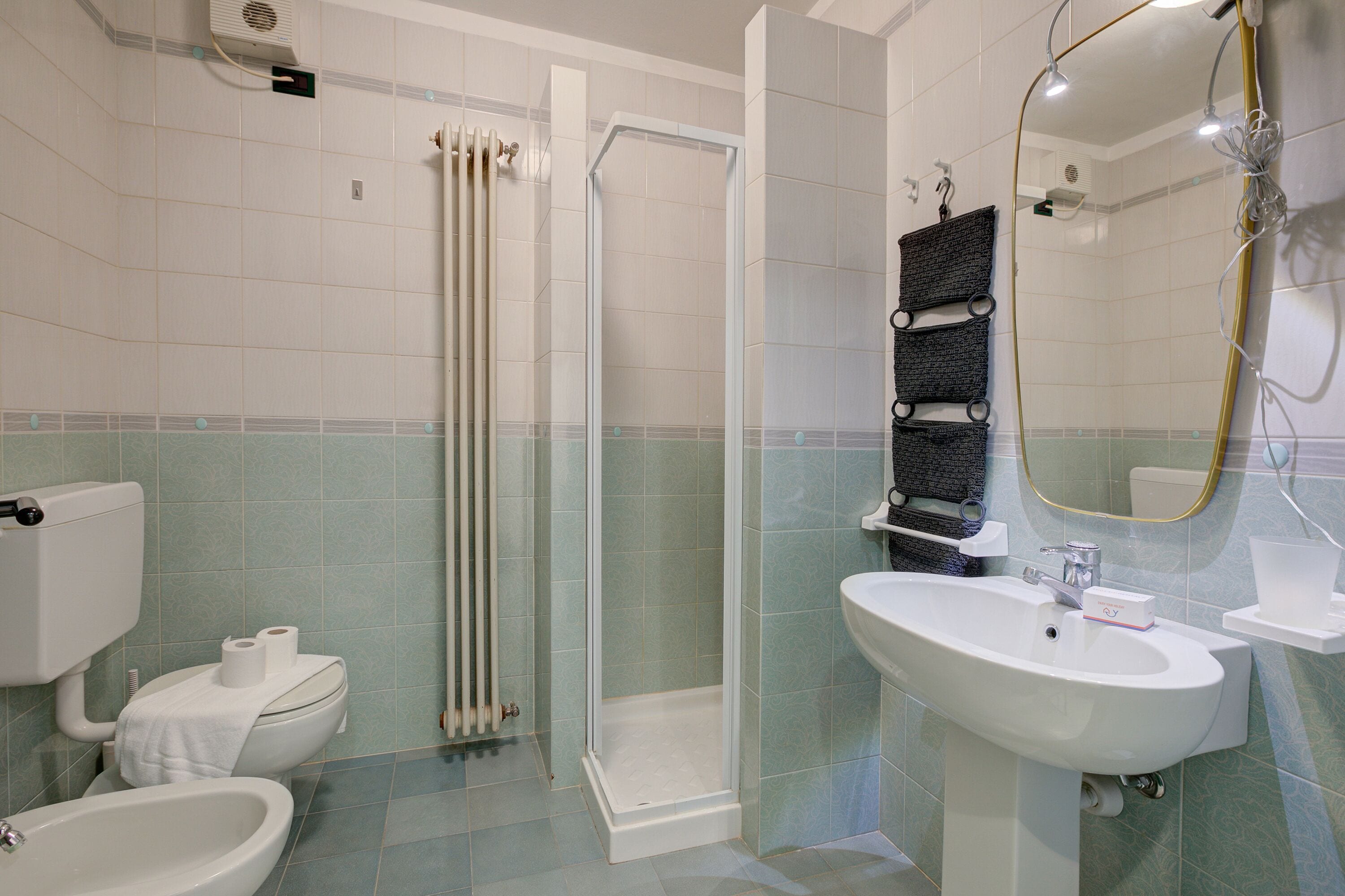 Shower, hair dryer, bidet, towels