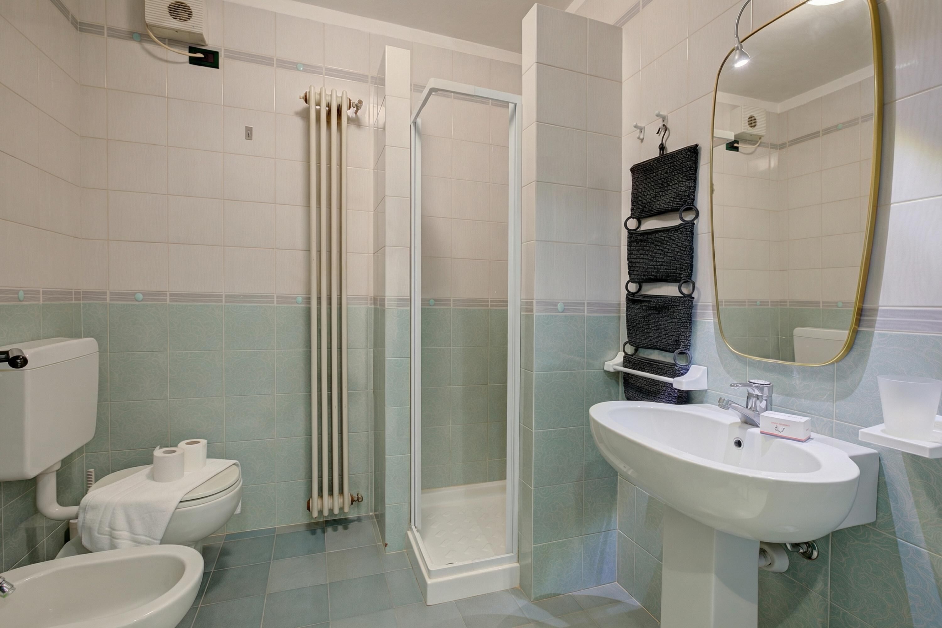 Shower, hair dryer, bidet, towels