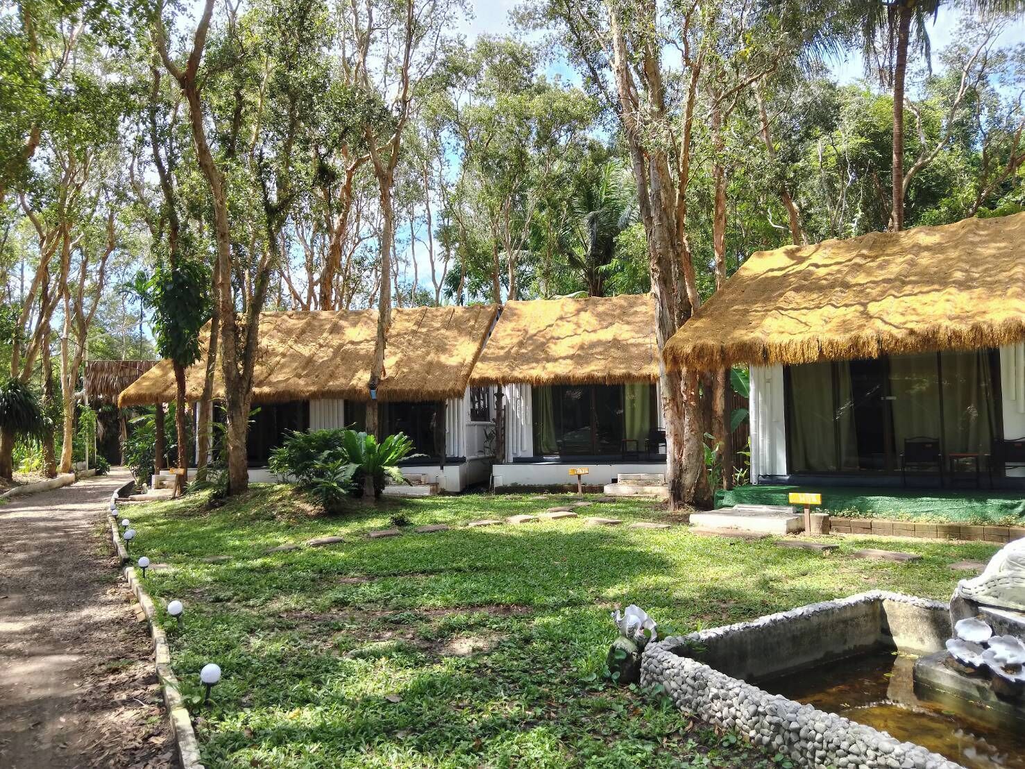 A row of thatched-roof cottages surrounded by trees, with a small pond and a pathway leading through the property.