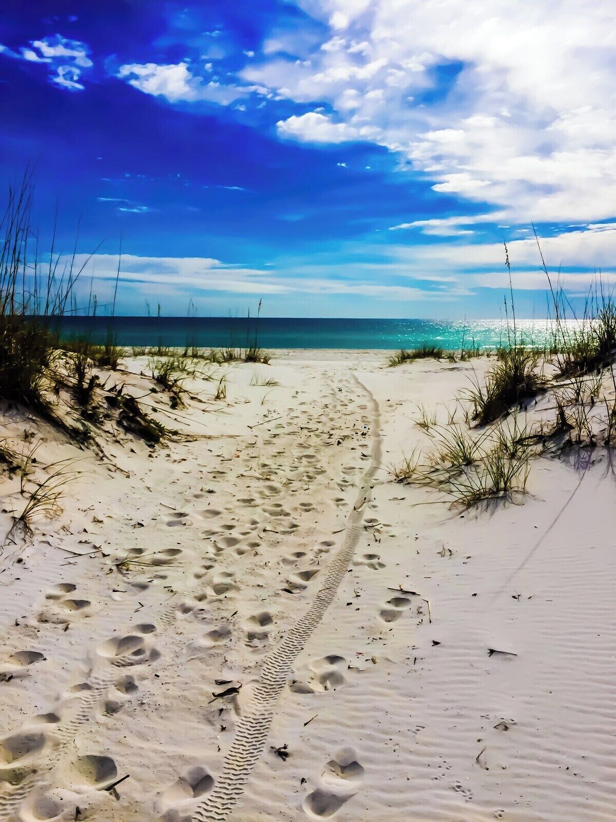 Un sentier de sable qui longe la plage et mène à l’océan, parsemé d’empreintes et de quelques rares plantes.