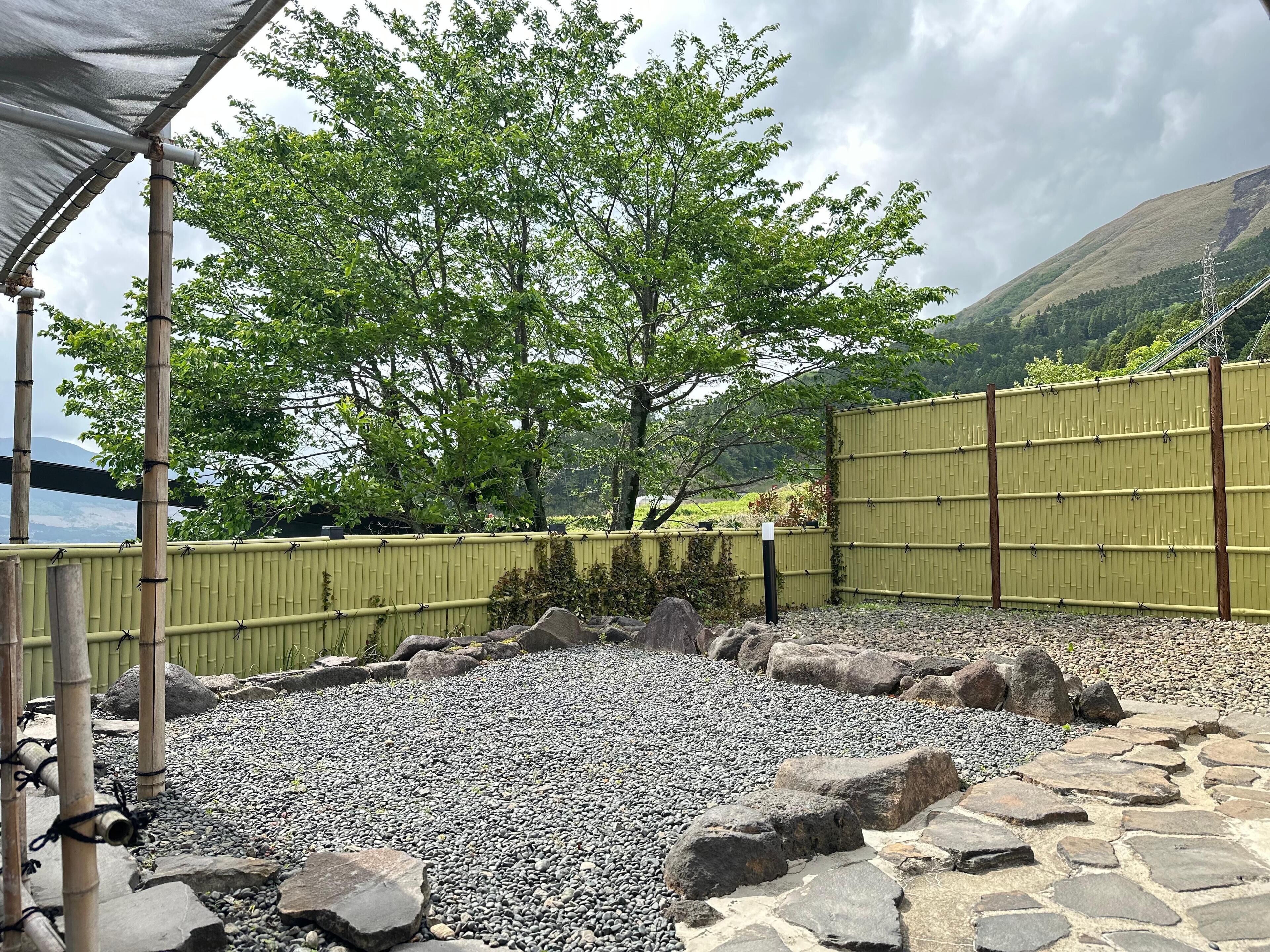 A garden with a bamboo fence, a tree, and a stone pathway.