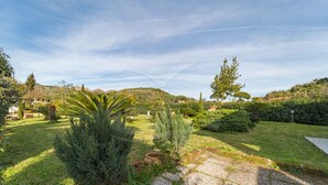 Un jardín ajardinado con diversas plantas y un sendero de piedra.