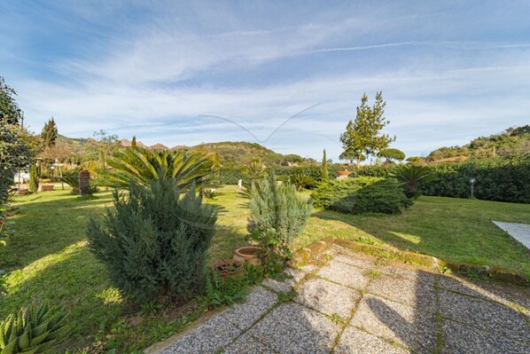 A landscaped garden with various plants and a stone pathway.