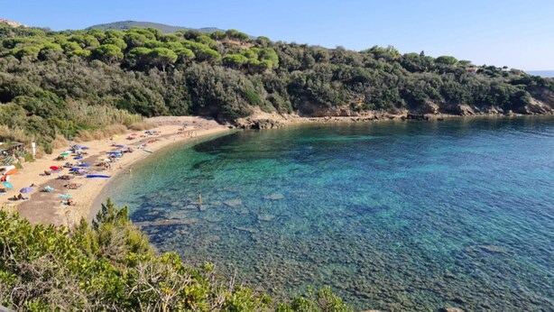 Una playa con aguas cristalinas, sombrillas y un paisaje montañoso al fondo.