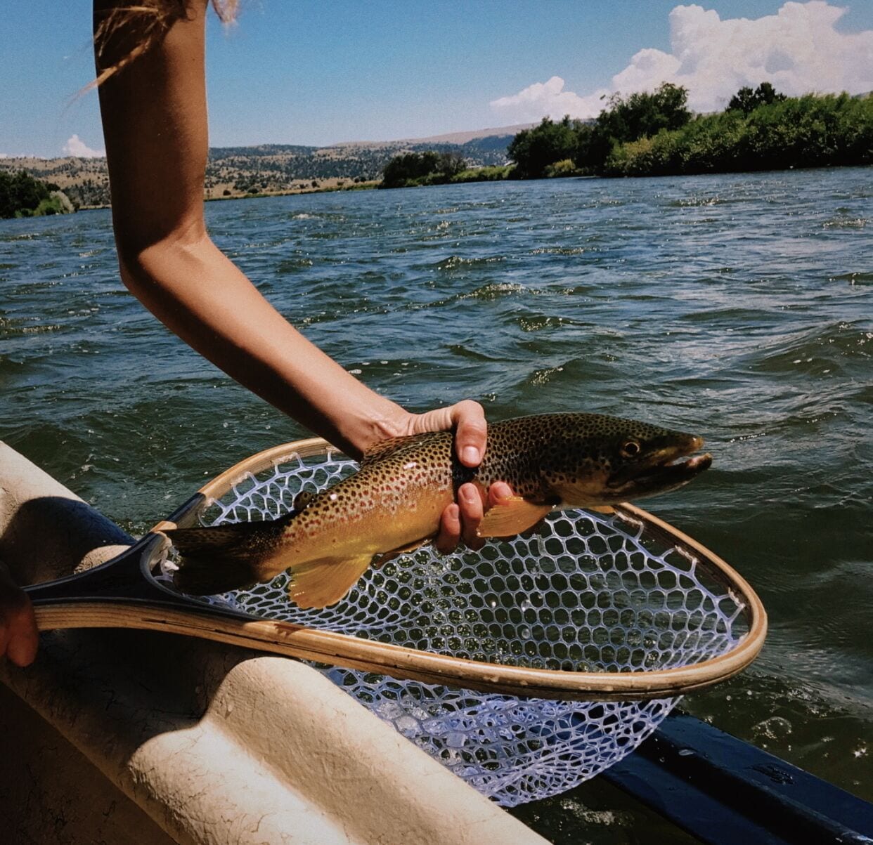 A person holding a fish in a net over a body of water with a landscape in the background.