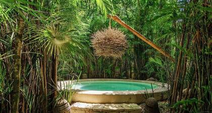 Mayan Jungle, Private Pool, Art Gallery and Spa