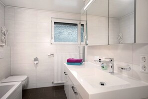 Shower, hair dryer, towels - Bodensee Apartment Gresser vacation rental with large balcony and Wi-Fi (Meckenbeuren)