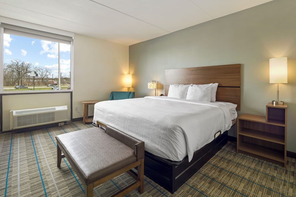 客房, 1 張特大雙人床, 非吸煙房 (Efficiency)