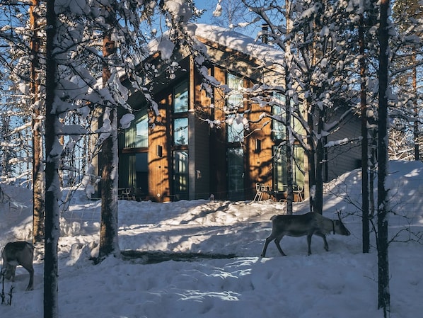 Extérieur
