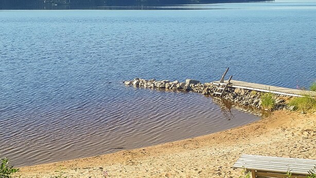 A lakeside view with a wooden dock extending into calm waters, surrounded by a forested area.