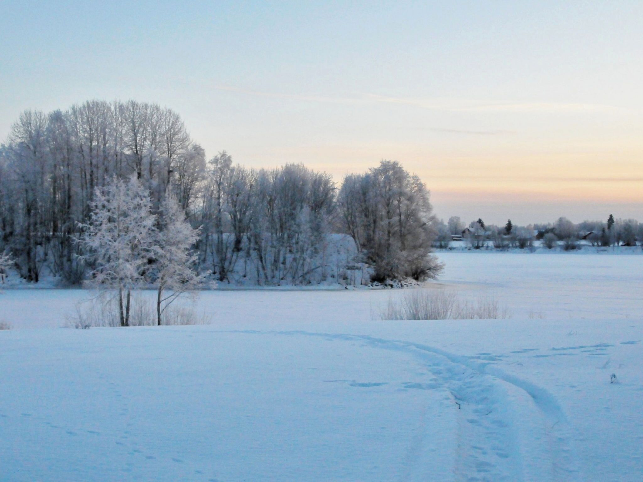 A snowy landscape with a clear path leading through a forest.