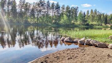 A natural landscape with a calm lake, surrounded by dense forest and a rocky shoreline.
