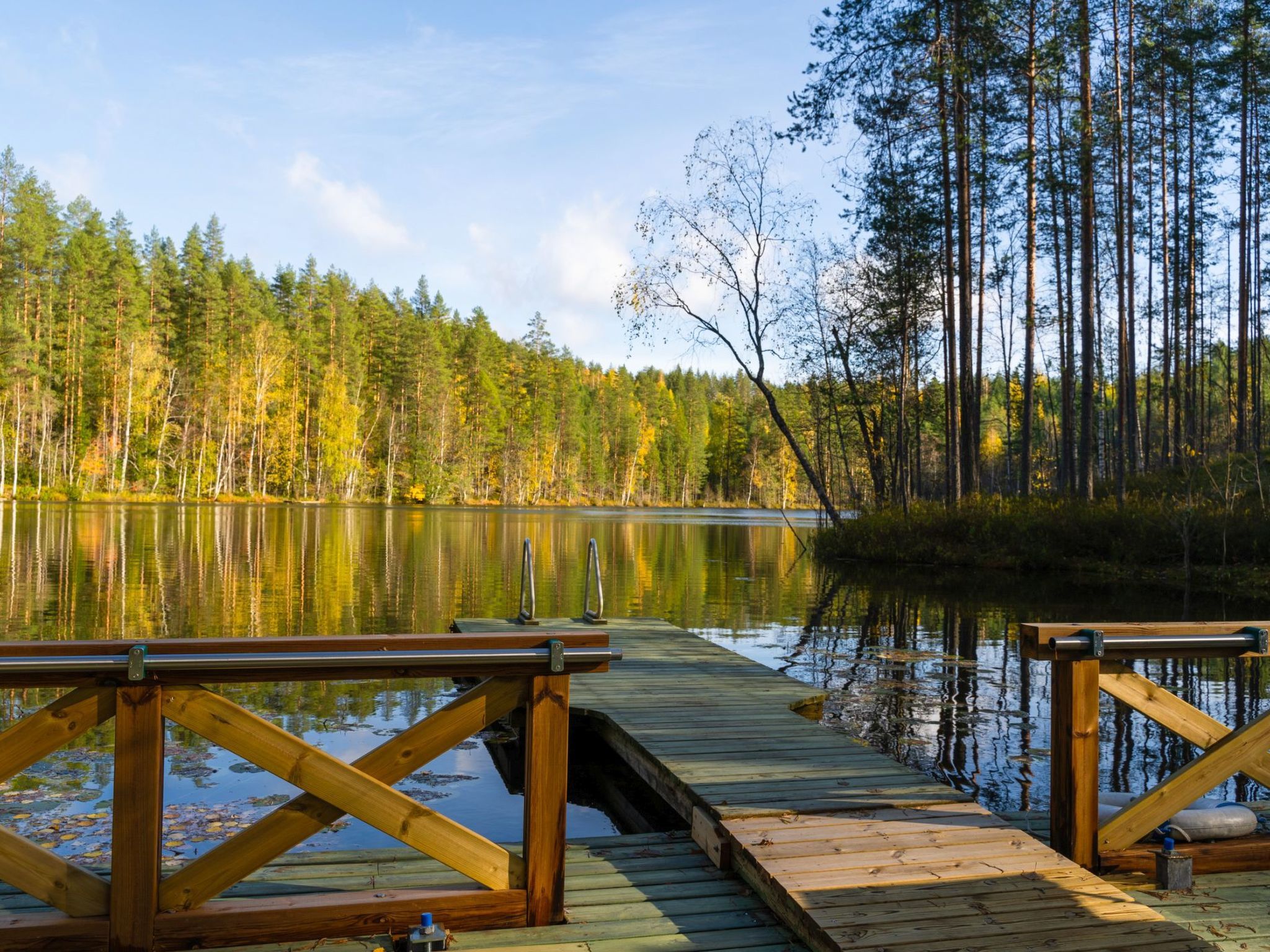 Un muelle de madera se adentra en un lago tranquilo rodeado por un bosque denso.