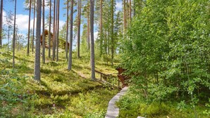 Une terrasse en bois menant à un chalet entouré de grands arbres et d’une végétation luxuriante.