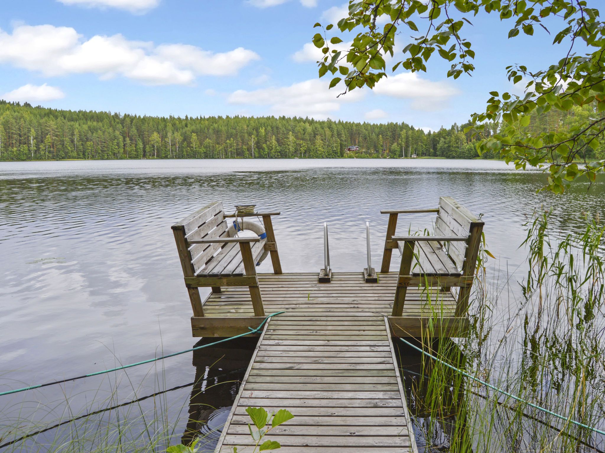 A wooden dock extending into a calm lake, surrounded by dense forest.