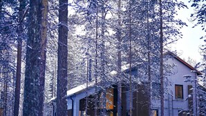 Una casa moderna rodeada de altos árboles cubiertos de nieve.