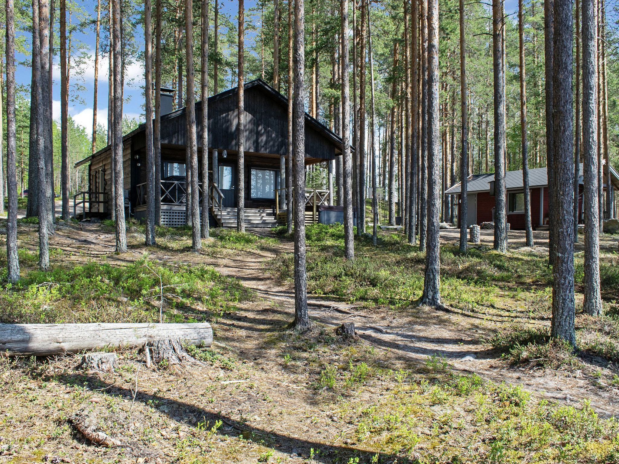 A cabin surrounded by tall trees, with a clear sky above.