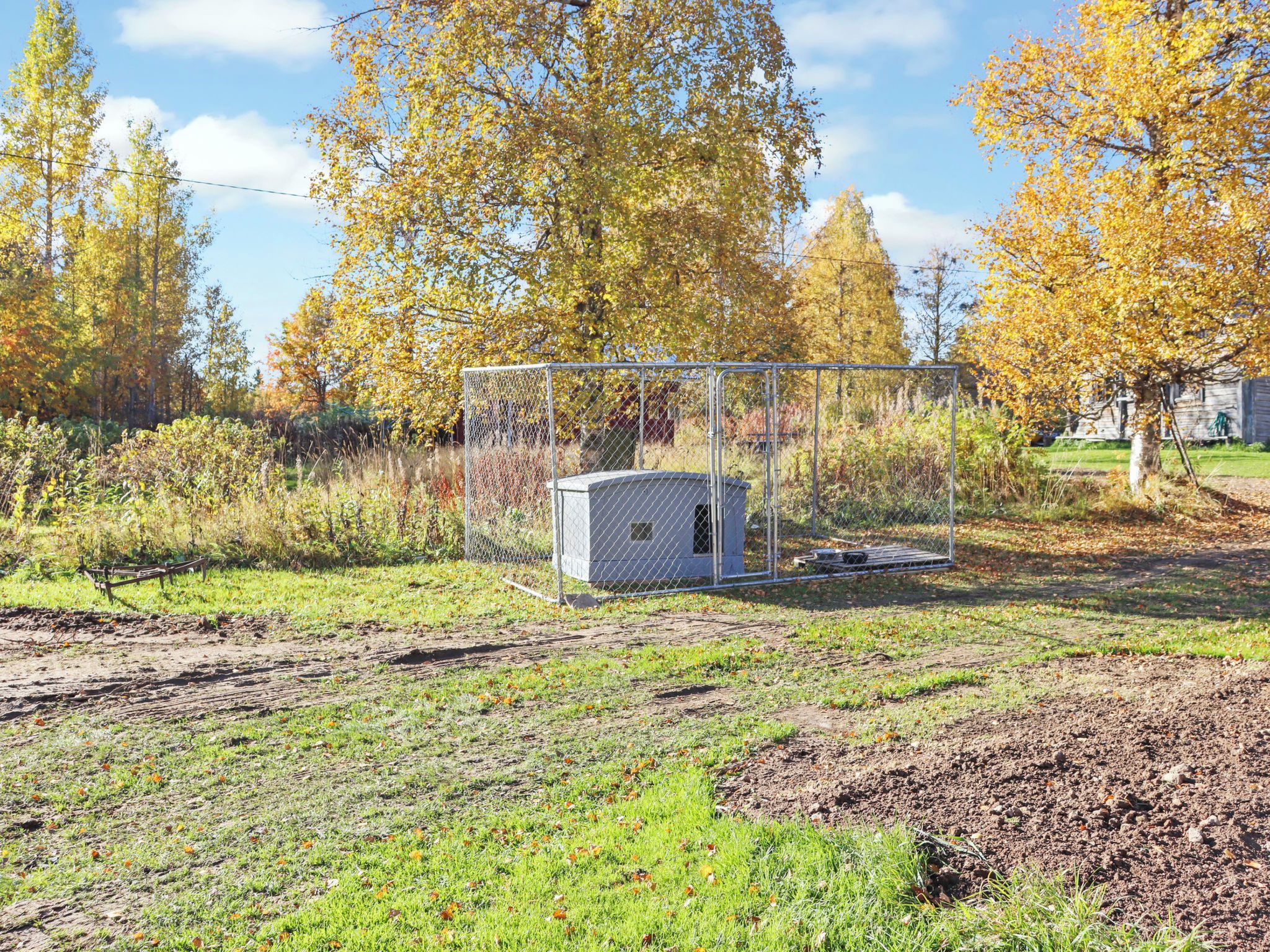 Ein umzäunter Außenbereich mit Geräteschuppen, Rasen und Bäumen mit Herbstlaub.
