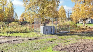 Ein umzäunter Außenbereich mit Geräteschuppen, Rasen und Bäumen mit Herbstlaub.