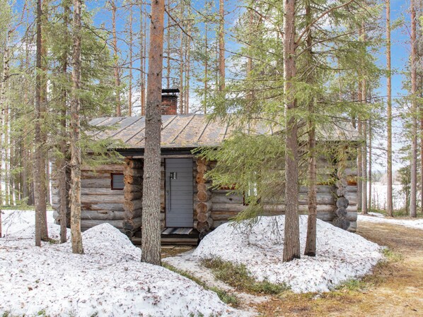 A log cabin surrounded by tall pine trees with a snow-covered ground.