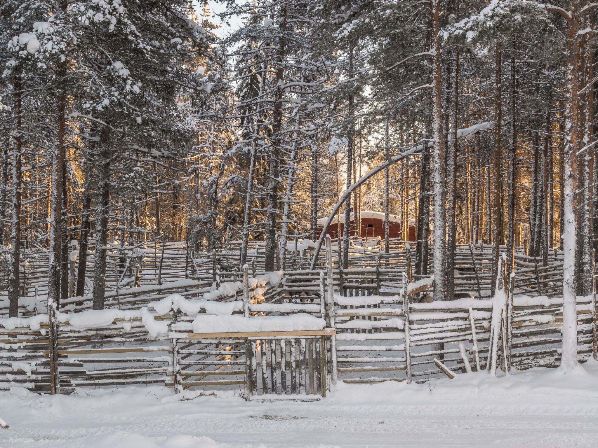 Ulkoalueet