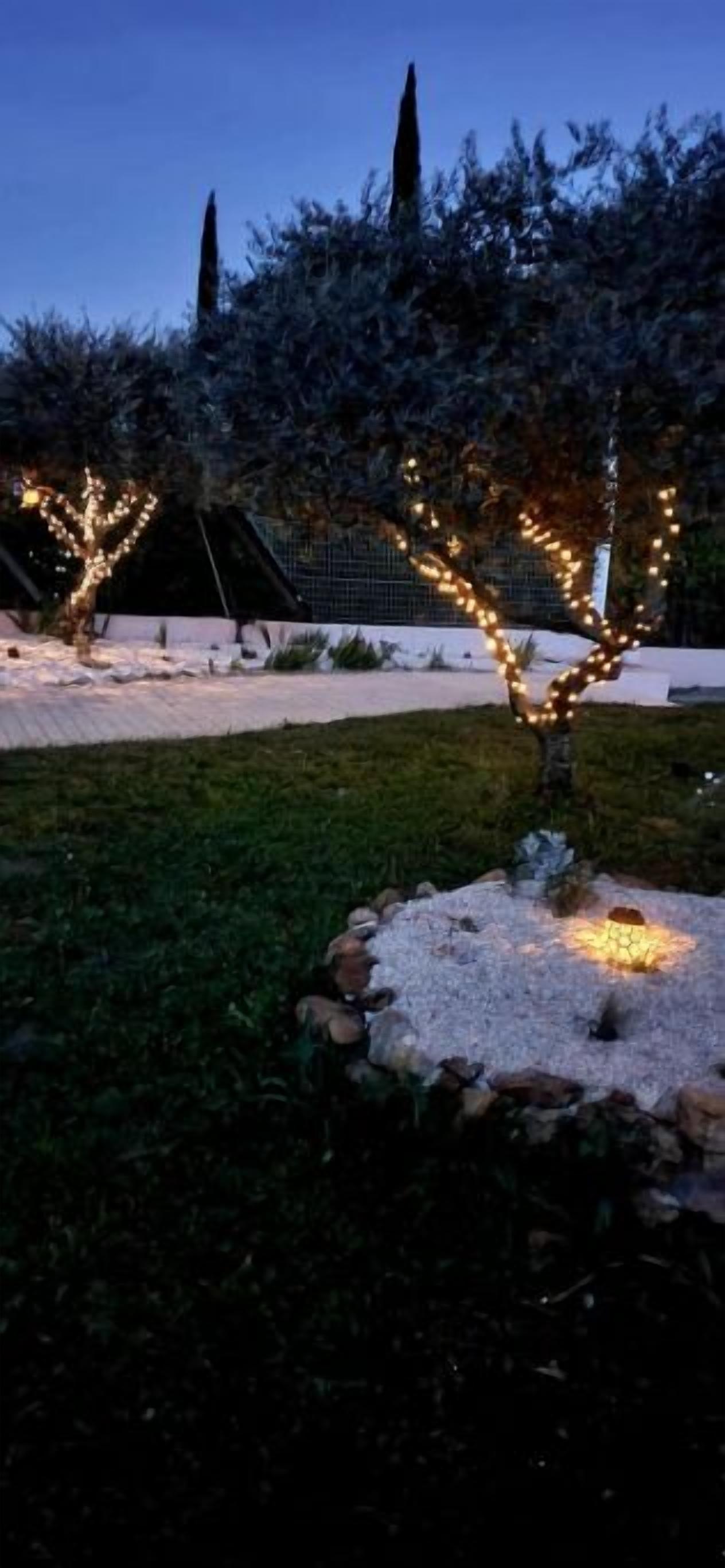 A garden with a tree illuminated by string lights, a stone pathway, and a fence in the background.