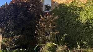 Un bâtiment en pierre doté d’une fenêtre et d’une porte, entouré d’un feuillage dense et bordé d’une allée gravillonnée.