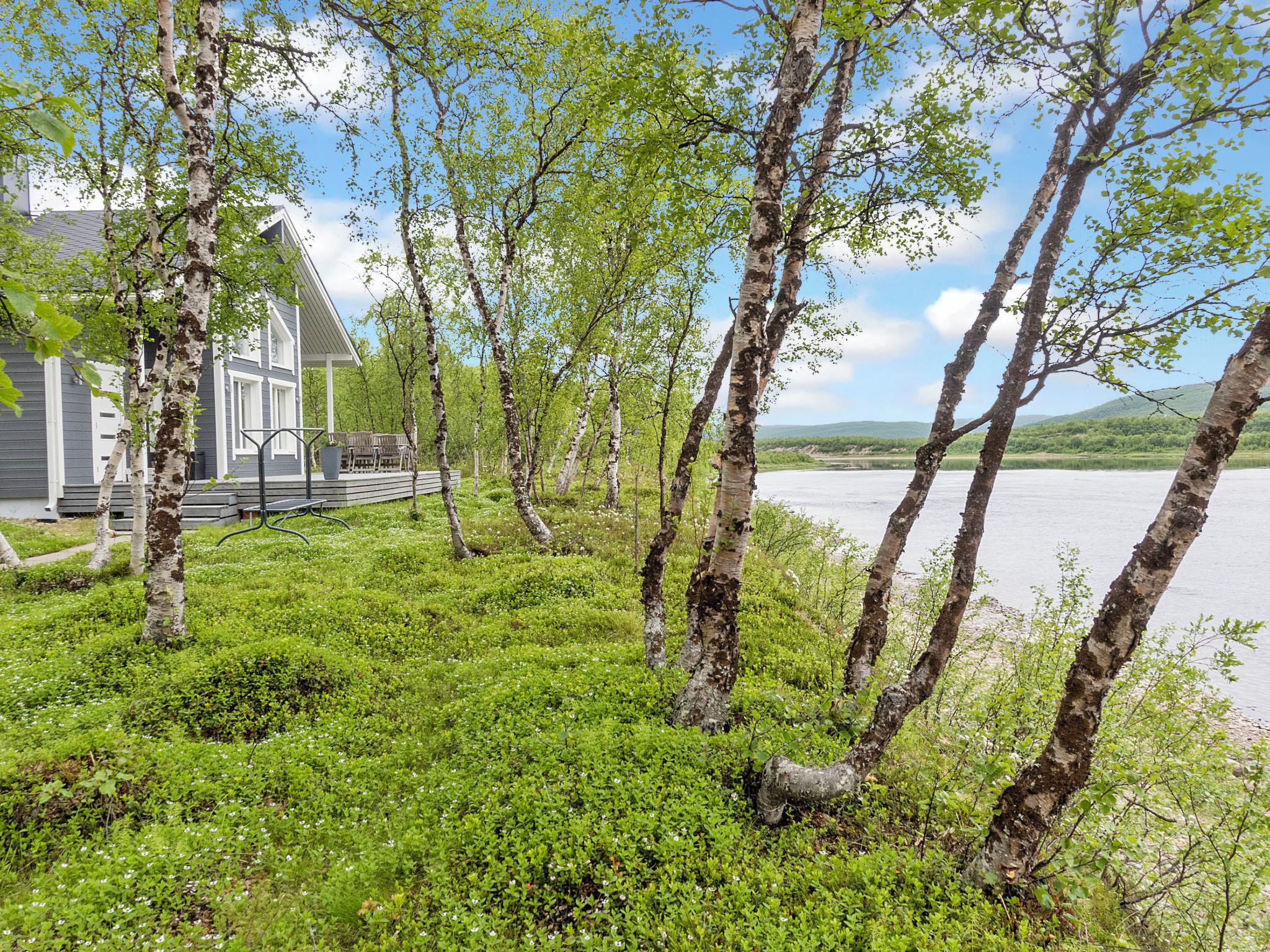 A lakeside property with a house, a dock, and birch trees.