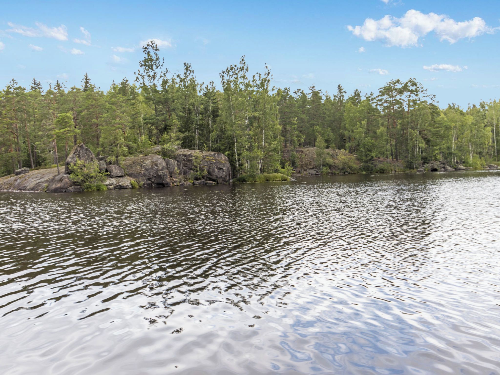 Un lago tranquilo con una orilla bordeada de bosque.