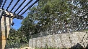 Puutarha, jossa on kivimuuri, metallinen pergola sekä monenlaisia kasveja ja kukkia.