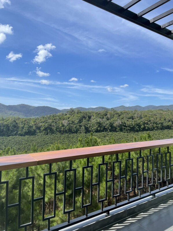 Property grounds - Spacious 8-bedroom villa with WiFi and AC in charming Lam Dong.  (Lam Dong)