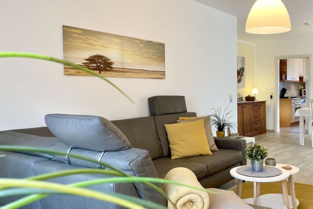 Smart-TV, DVD-Player