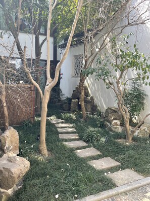 Habitación básica | Vistas al patio