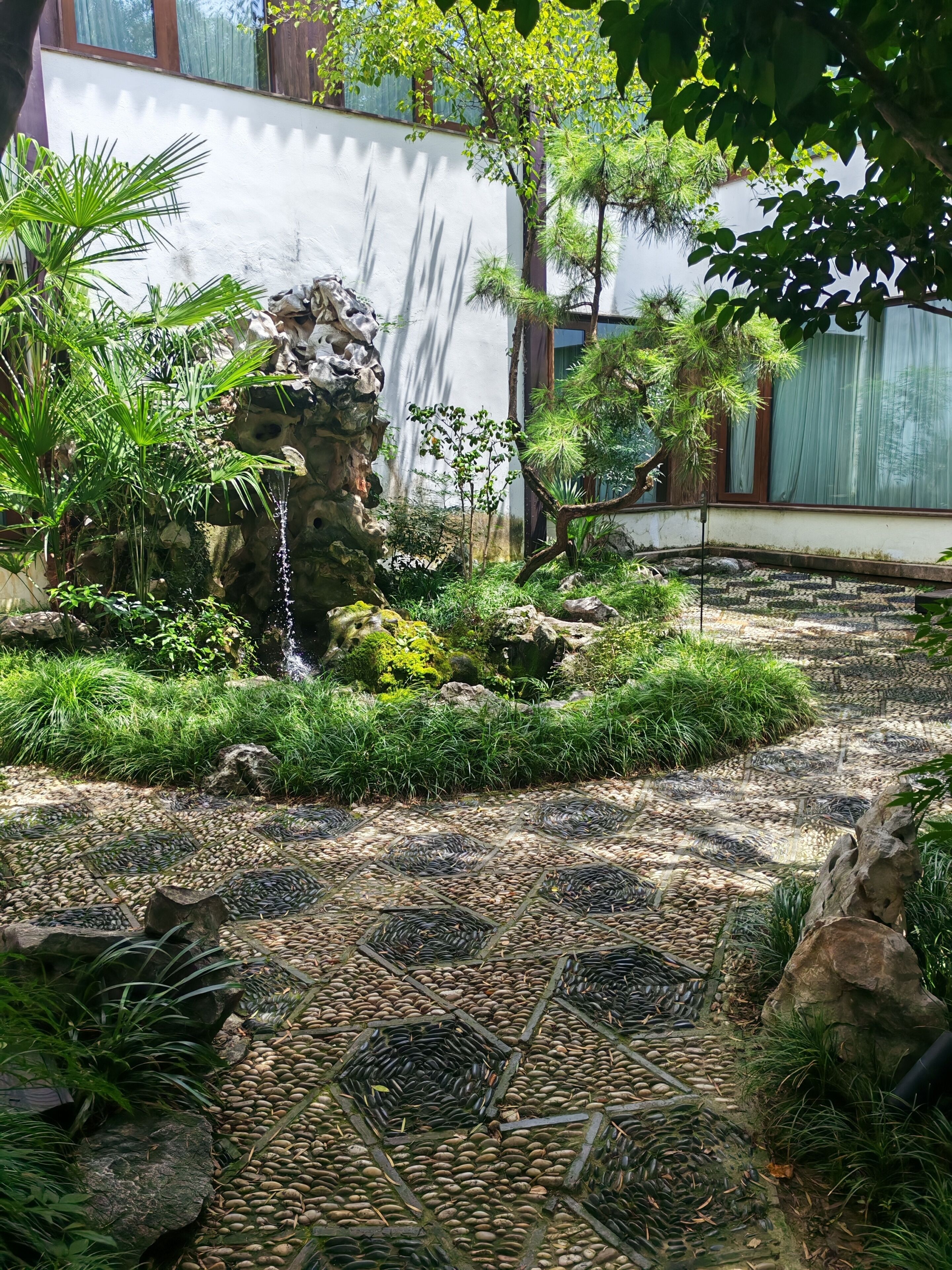 A garden with a water feature, rocks, and various plants.