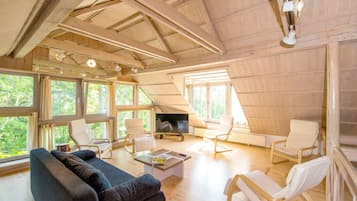 Fernseher