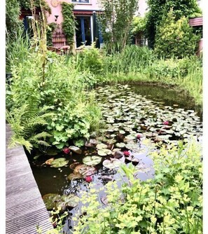 Jardines del alojamiento